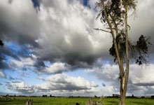 开云平台-包含独行侠横扫新疆队，易建联关键制胜的词条
