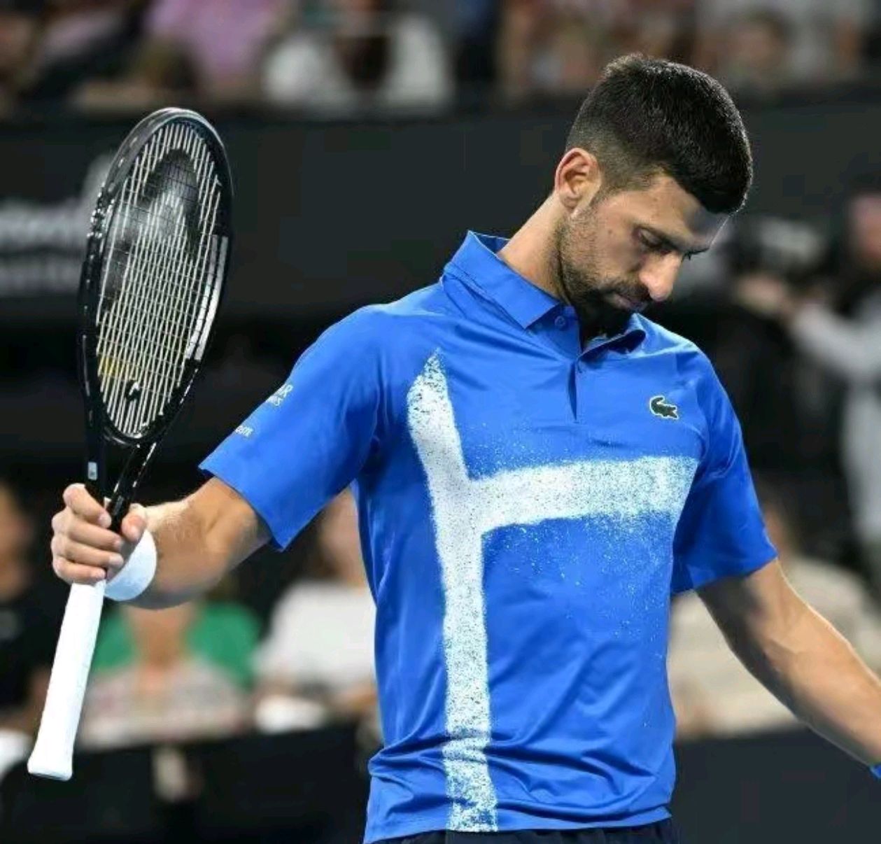 世界网球队轻取日本网球队,德约科维奇高光表现的简单介绍 世界网球队轻取日本网球队,德约科维奇高光表现的简单介绍