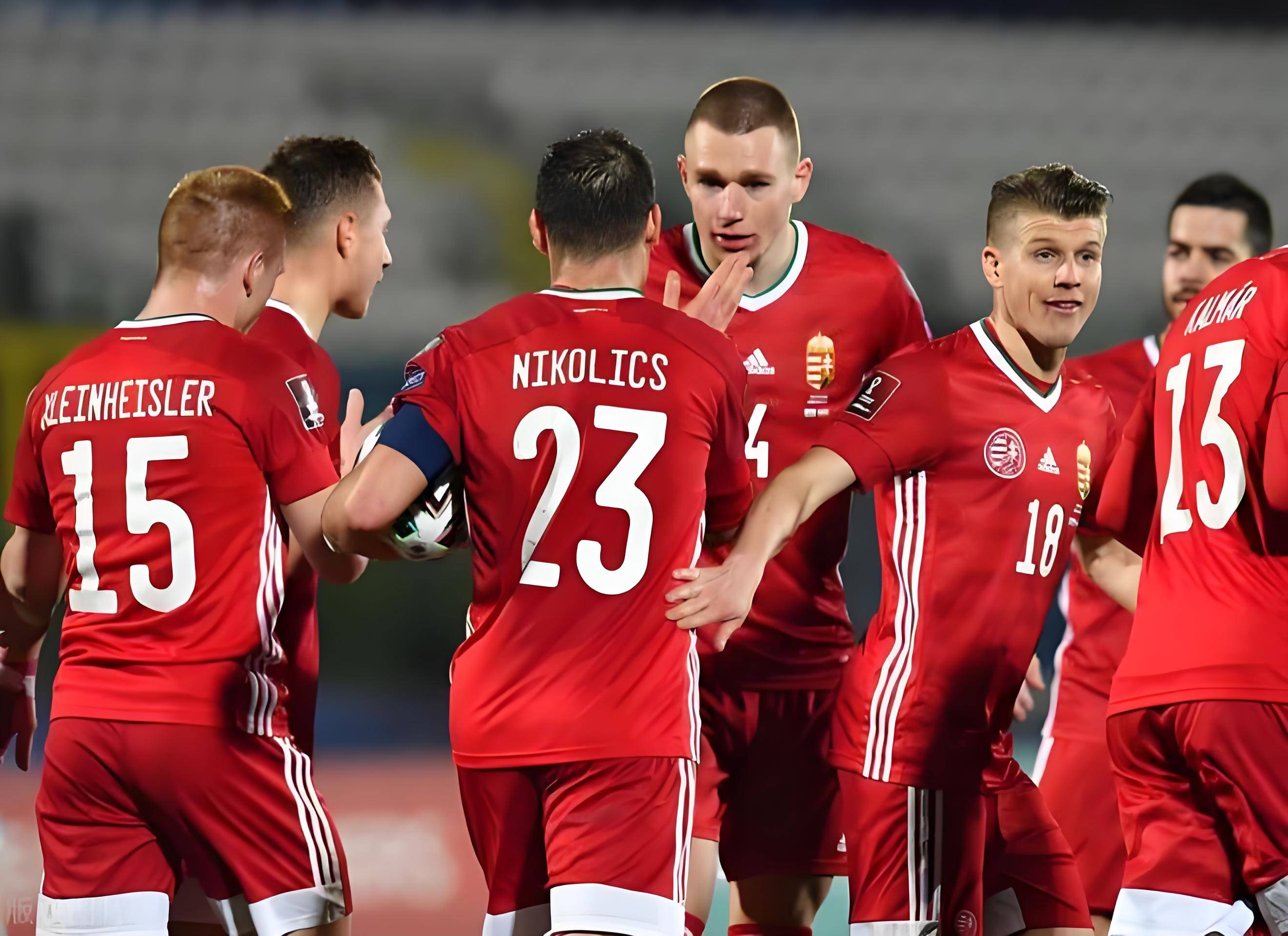 瑞士国家队在对阵爱尔兰的比赛中获胜 瑞士国家队在对阵爱尔兰的比赛中获胜