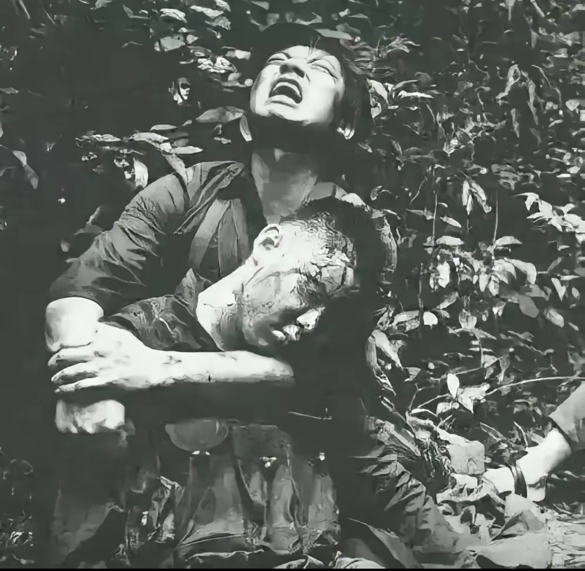 关于铁血拼杀狂交织，双方艰难克制的信息