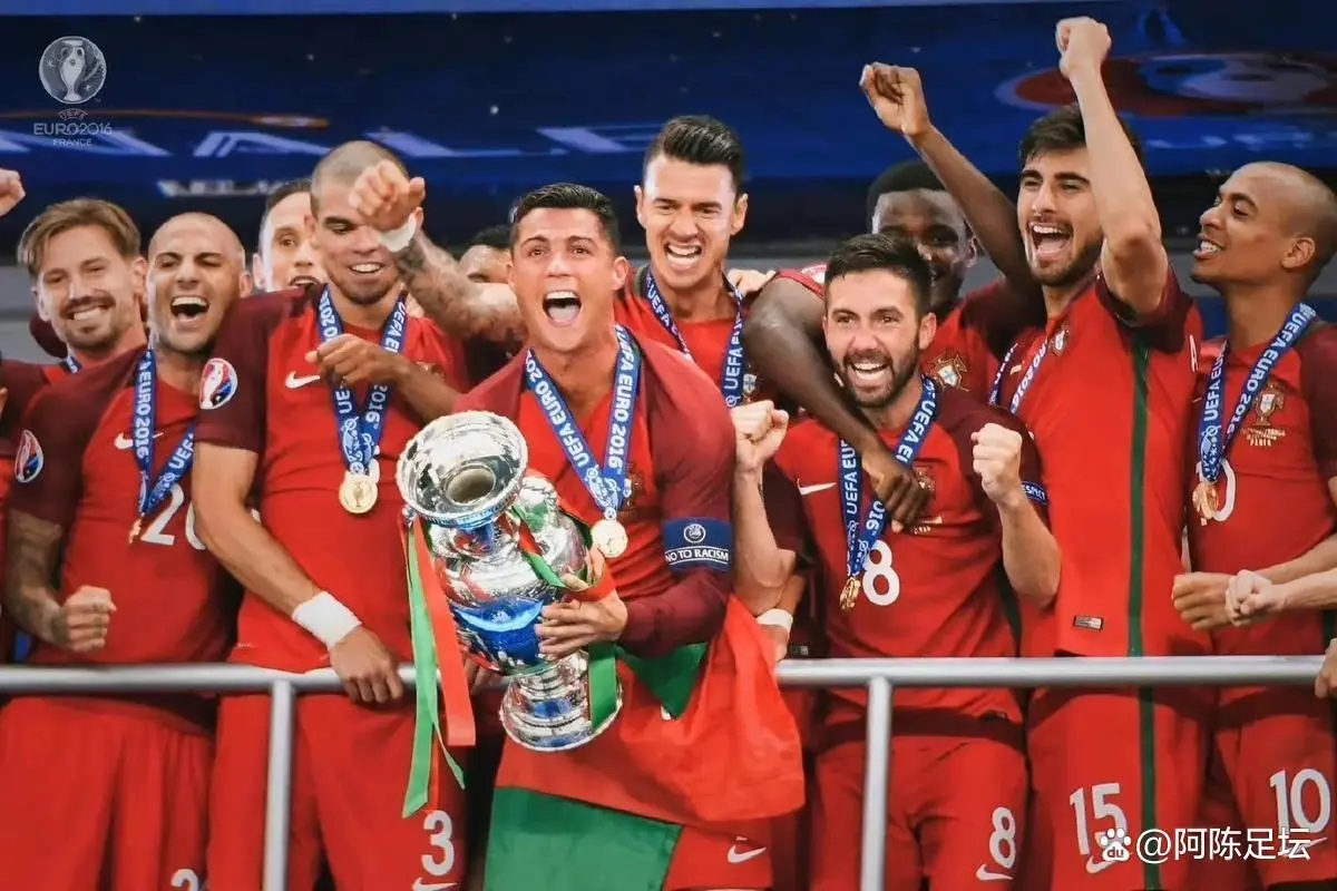 葡萄牙战胜法国欧洲锦标赛小组赛 葡萄牙战胜法国欧洲锦标赛小组赛